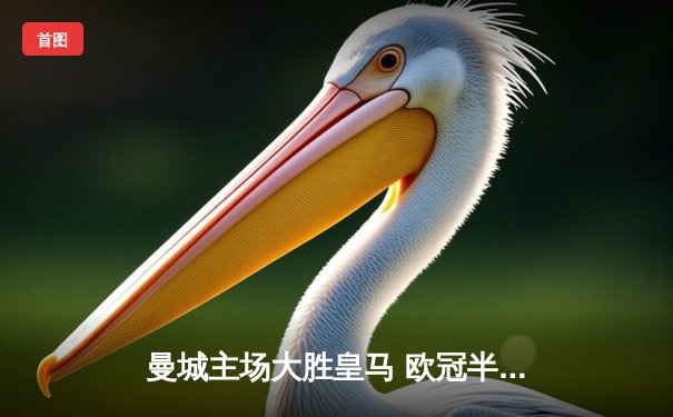 曼城主场大胜皇马 欧冠半决赛悬念终结